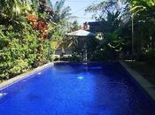 Bali Explorando centro Ubud