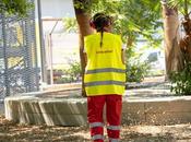 Responsabilidad, sostenibilidad ética; pilares llevan Limcamar reconocimiento EcoVadis