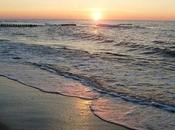 Apartamento perros playa