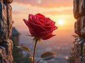 6.357 tarde avanza...