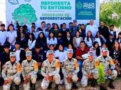 Villa Pozos realiza jornada reforestación área verde Molino Rojo