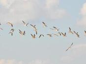 Cáceres días: guía imprescindible