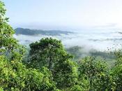 ¿Estamos punto cruzar umbrales climáticos cambiarán mundo como conocemos?