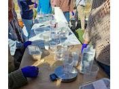 Elaboración jabón natural