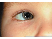 hechos acerca flojo.