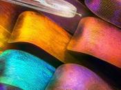 Encontrando calma medio caos: Quivik estrena single «Dragón Púrpura»