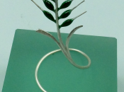 Espiga Verde: Cine medioambiental SEMINCI 2025