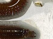 Ojo, lunes vienen curvas