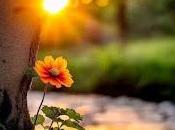 6.370 algunas veces...