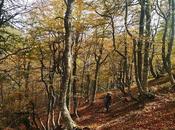 Pico Vildeu desde Pigüeces