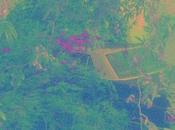 Dunes Noctiluca (Post Present Medium, 2012)