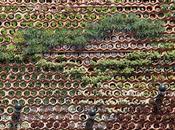 Comparativa entre sistemas constructivos jardines verticales