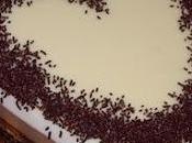 Tarta tres chocolates