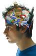 cerebro adolescente experimentación drogas