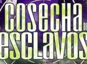 Novedad Marzo 2012 Consecha Esclavos (Tiempo cosecha
