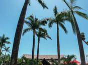 Grand Decameron Panama, Trademark Inclusive Resort, reafirma compromiso medio ambiente operar energía 100% renovable.