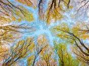 vida contemplativa. especial domingo, noviembre 2025