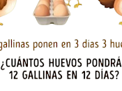 Aquí está respuesta acertijo gallinas