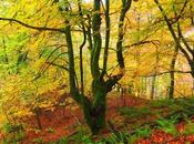 Naturaleza, historia aventura corazón Asturias