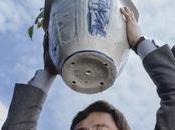 películas puedes perder Fancine Málaga