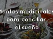 Plantas medicinales para conciliar sueño