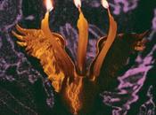 Shmulikraut Guts Voyage (2025)