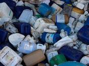 Soja: huele como dinero, arde infierno