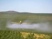 proyecto pedir agronegocio: Fumigarte diez metros