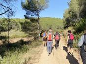 ayuno prolongado. terapia ancestral rejuvenece cuerpo mente mundo acelerado