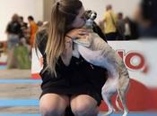 Copa Criadores 2025; Ética, genética bienestar elección mejor perro