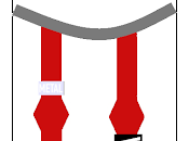 gaviota reidora anilla negra XN1A