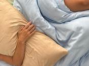 Momo Cotton consolida éxito España primer paso expansión europea