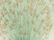 Infinito Juco: Lectura Recomendada