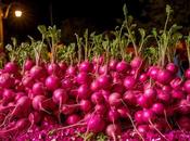 Tradiciones Mundo Desafían Lógica Fascinan Humanidad