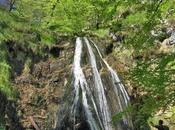 Tajadura Redondina AGRESTE PEÑAMELLERA PARTE