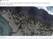 gripe aviar Pandemia ignorancia supina