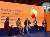 Innovación sostenibilidad, claves para futuro citricultura ante amenaza nuevas plagas