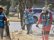 Cuadrillas operativas Gobierno Municipal intensifican remozamiento avenida Goytortúa