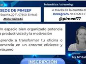 Píldora noviembre Feng Shui negocios