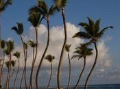 Hotel Caribe restaurante: experiencias opciones gastronómicas