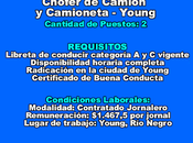 Chófer Camión Camioneta Young