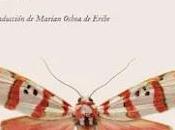 derecha (Cegador III), Mircea Cartarescu