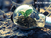 Black Star Group presencia internacional nuevas alianzas estratégicas