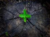 Repara Deuda Abogados, fuerza transformadora Segunda Oportunidad España