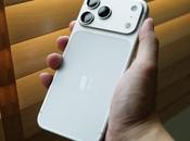 iPhone Max: ¿cuál adapta mejor