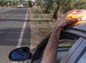 seguro coche Línea Directa destaca amplitud coberturas servicios personalizados