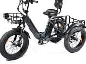 Triciclo Eléctrico PULUMA SL001- Funcionalidad Diseño, Robustez Independencia Utilitaria