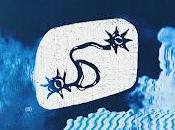 Janire Milagrosa estrenan despedí