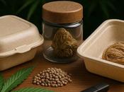 Bioplásticos cáñamo; este material podría transformar envase español 2025