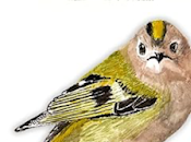 LIBRO INTERACTIVO AVES (Versión Kindle) dibujillos